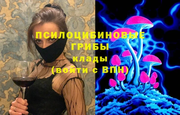 Альфа ПВП Алзамай