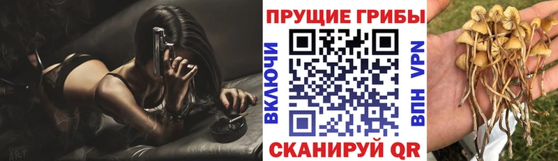 Псилоцибиновые грибы мухоморы Югорск
