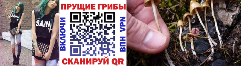 Псилоцибиновые грибы мицелий  купить  цена  Югорск 